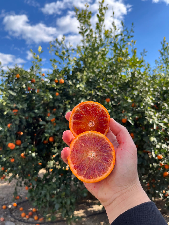 ARANCIA TAROCCO ROSSO  DA SPREMUTA KG 15