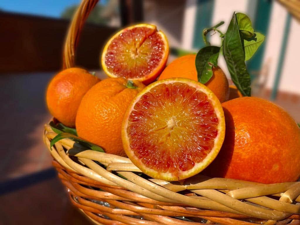 Arancia Tarocco Ippolito da Tavola