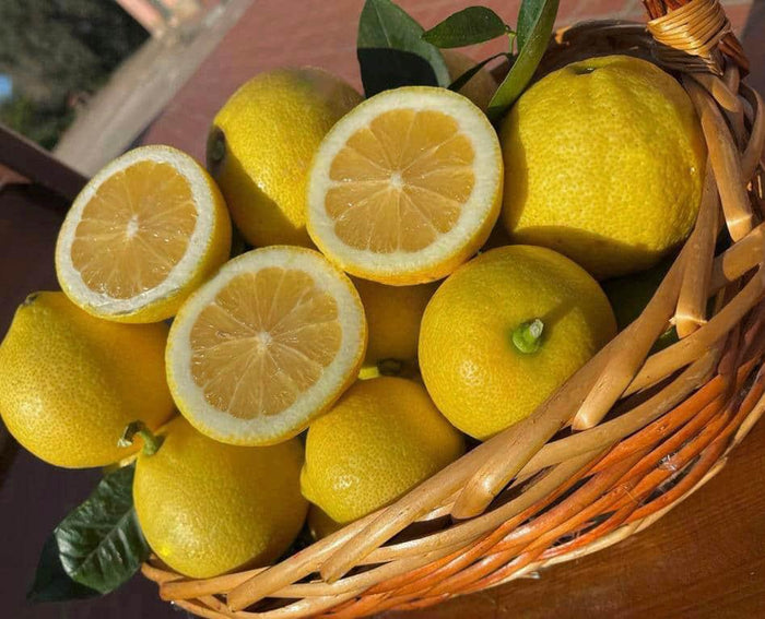 MIX DI LIMONI E AGRUMI KG 15
