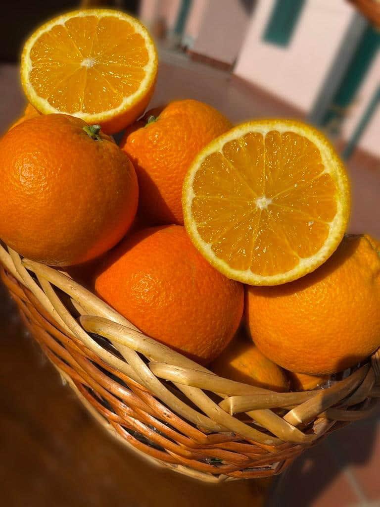 MIX OF LEMONS AND CITRUS FRUITS 15 KG